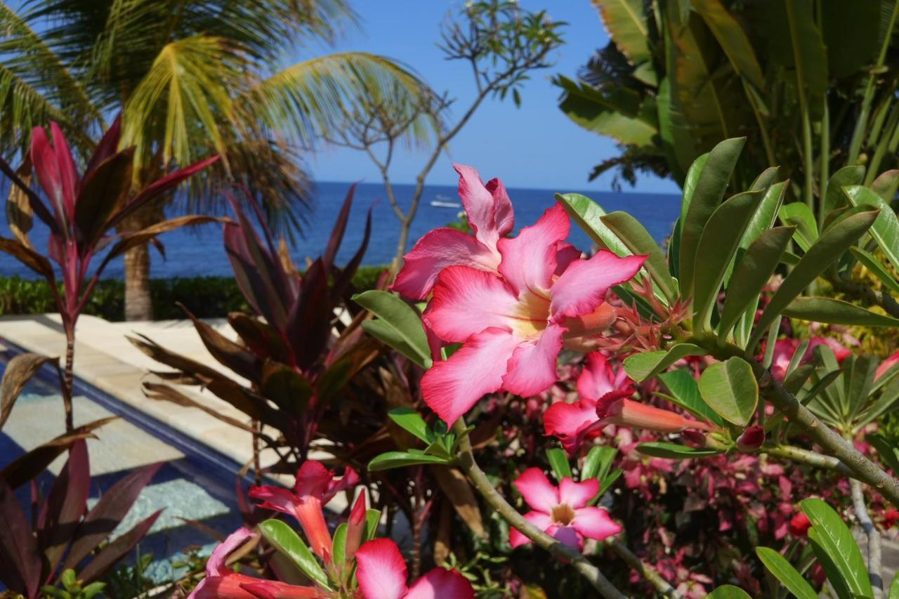 Alam Mimpi Bali Hotel Tejakula Ngoại thất bức ảnh